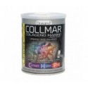 Collmar Colágeno Marino Limón 300gr